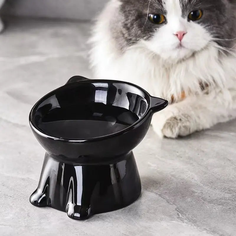 2-Piece Elevated Pet Feeding Bowl Set, Anti-Vomit Design for Neck and Spine Protection, Non-Slip Base, Durable Plastic, Ideal for Cats and Small Dogs