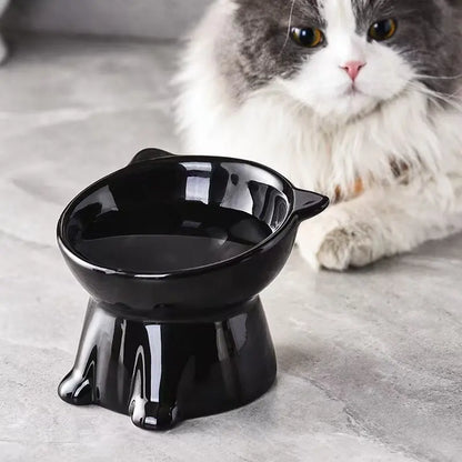 2-Piece Elevated Pet Feeding Bowl Set, Anti-Vomit Design for Neck and Spine Protection, Non-Slip Base, Durable Plastic, Ideal for Cats and Small Dogs