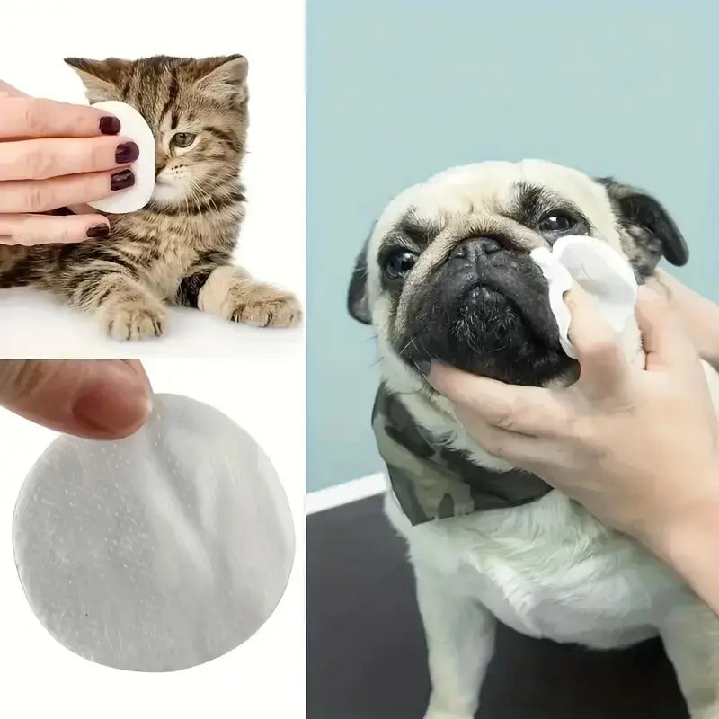 Pet Eye Cleaning Wipes - 200 Count Set, Durable Polyester Material, Safe for Cats, Essential Pet Supplies