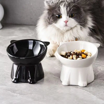 2-Piece Elevated Pet Feeding Bowl Set, Anti-Vomit Design for Neck and Spine Protection, Non-Slip Base, Durable Plastic, Ideal for Cats and Small Dogs